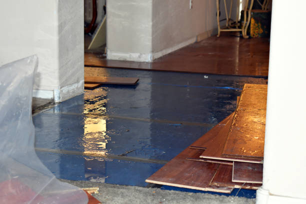 Professional Basement Flood Cleanup technician working in Randolph, WI